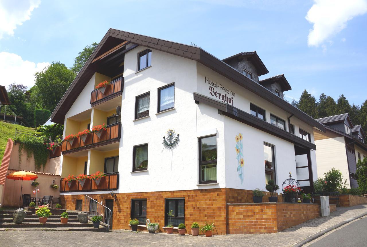 Hotel Garni Berghof Heigenbruecken Kültér fotó